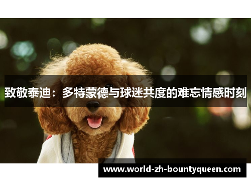 致敬泰迪：多特蒙德与球迷共度的难忘情感时刻